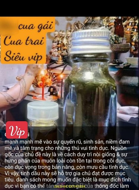 cây ngải bùa tình yêu